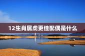 12生肖属虎更佳配偶是什么，十二生肖属相婚配表