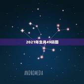 2021年生肖49码图，2021年躲星生肖对照表
