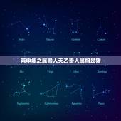 丙申年之属猴人天乙贵人属相是猪，属猴和什么属相犯冲