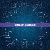 猪的2021年运势运程，猪人2021年运势运程