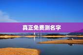 真正免费测名字，免费测名打分