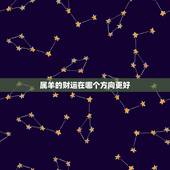 属羊的财运在哪个方向更好，属羊的店铺财运位