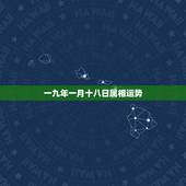 一九年一月十八日属相运势，生肖属狗2009年运势1982.2.21日阴