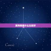 属狗佩戴什么比较好，属狗的人佩戴什么首饰