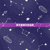 狮子座明天的运势，明天狮子座运势怎样？