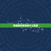 扬威耀武欺弱是什么属相，耀武扬威欺弱小，一本正经假斯文打一生肖不要人夸