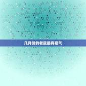 几月份的老鼠最有福气，最享福的鼠是几月