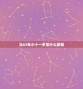比63年小十一岁是什么属相，1963年属兔今年多少岁