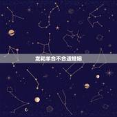 龙和羊合不合适婚姻，马和羊合不合适婚姻