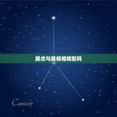属虎与属相相婚配吗，属虎和属羊能婚配吗
