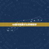 66属马和属什么的婚配好，属马的和什么属相最配 属马的属相婚配表