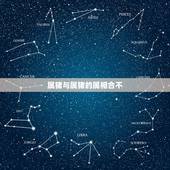 属猪与属猪的属相合不，属猪的跟什么属相相配好，跟什么属相不相配？