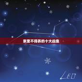 家里不得养的十大凶鱼，观赏鱼 家养鱼 比较凶猛的鱼有什么
