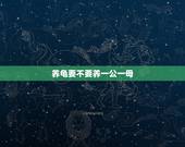 养龟要不要养一公一母，养乌龟的技巧？养一只还是养两只好？