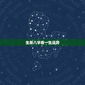 生辰八字看一生运势，我生辰八字的运势如何？