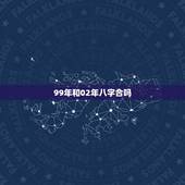 99年和02年八字合吗，1999年4月13和1999年11月2出生的