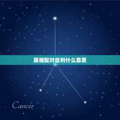 属相配对自刑什么意思，男生肖鸡和女生肖鸡，在生肖上属于自刑，自刑的意思
