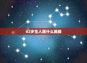 62岁生人属什么属相，63岁属什么生肖