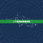 二个属鸡的婚姻如何，鸡和鸡的属相合不合