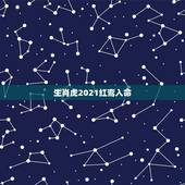 生肖虎2021红鸾入命，2021年哪些人红鸾星动
