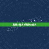属鼠人相克的是什么生肖，鼠冲什么生肖相克