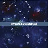 属虎2022年全年运势和运程，属虎2022年运势及运程每月运程