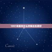 1991年属羊什么时候出生更好，1991年属羊什么时辰出生更好
