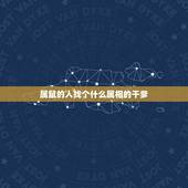 属鼠的人找个什么属相的干爹，属相老鼠认干爹有什么讲究？