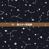鼠人十一月运势，属鼠人出生在农历十一月份一生运气命运怎样
