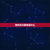 世的五行属性是什么，世字在金木水火土中属什