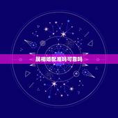 属相婚配准吗可靠吗，生肖配对准吗