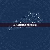 从八字日柱看2022运势，八字怎么看到以后运势