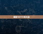 属蛇1977十年大运，十二生肖与人生运势