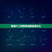 属相八二年狗幸运颜色是什么，属狗的什么颜色最吉利