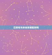 己卯年与辛未年婚配好吗，1992年属猴的男性和1991年属羊的女性婚配