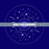 属鼠人与什么属相相克，属猴的和什么属相最不合