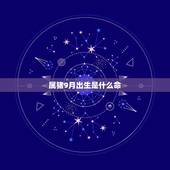 属猪9月出生是什么命，属猪的命运好不好？拜托了各位 谢谢