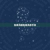 生肖马和生肖马合不合，马和马属相合不合财