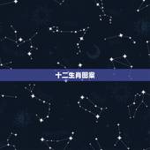 十二生肖图案，十二生肖图案怎么画 .