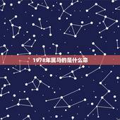 1978年属马的是什么命，78年属马五行属什么