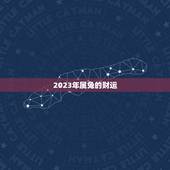 2023年属兔的财运，2023年属兔的财运怎样