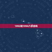 1992和1994八字合吗，1992年属猴和1994年属狗的婚姻相配吗