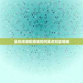 鼠和虎相配婚姻如何属虎和鼠婚姻，属虎的和属鼠的相配吗