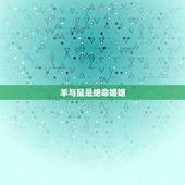 羊与鼠是绝命婚姻，男鼠射手座与羊女水瓶座婚姻