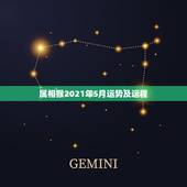 属相猴2021年5月运势及运程，2021属猴人全年12个月运势