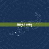 属鼠十月份财运，1984属鼠一生有二婚