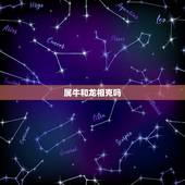 属牛和龙相克吗，龙和牛父子合不合