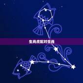 生肖虎配对生肖，生肖配对虎配虎婚姻状况