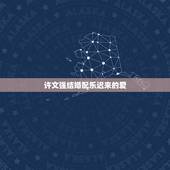 许文强结婚配乐迟来的爱，许文强的伴侣是？