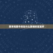 属羊和属牛的生什么属相的宝宝好，女属羊和男属牛又生什么属相孩好